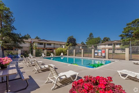 the swimming pool at our apartments