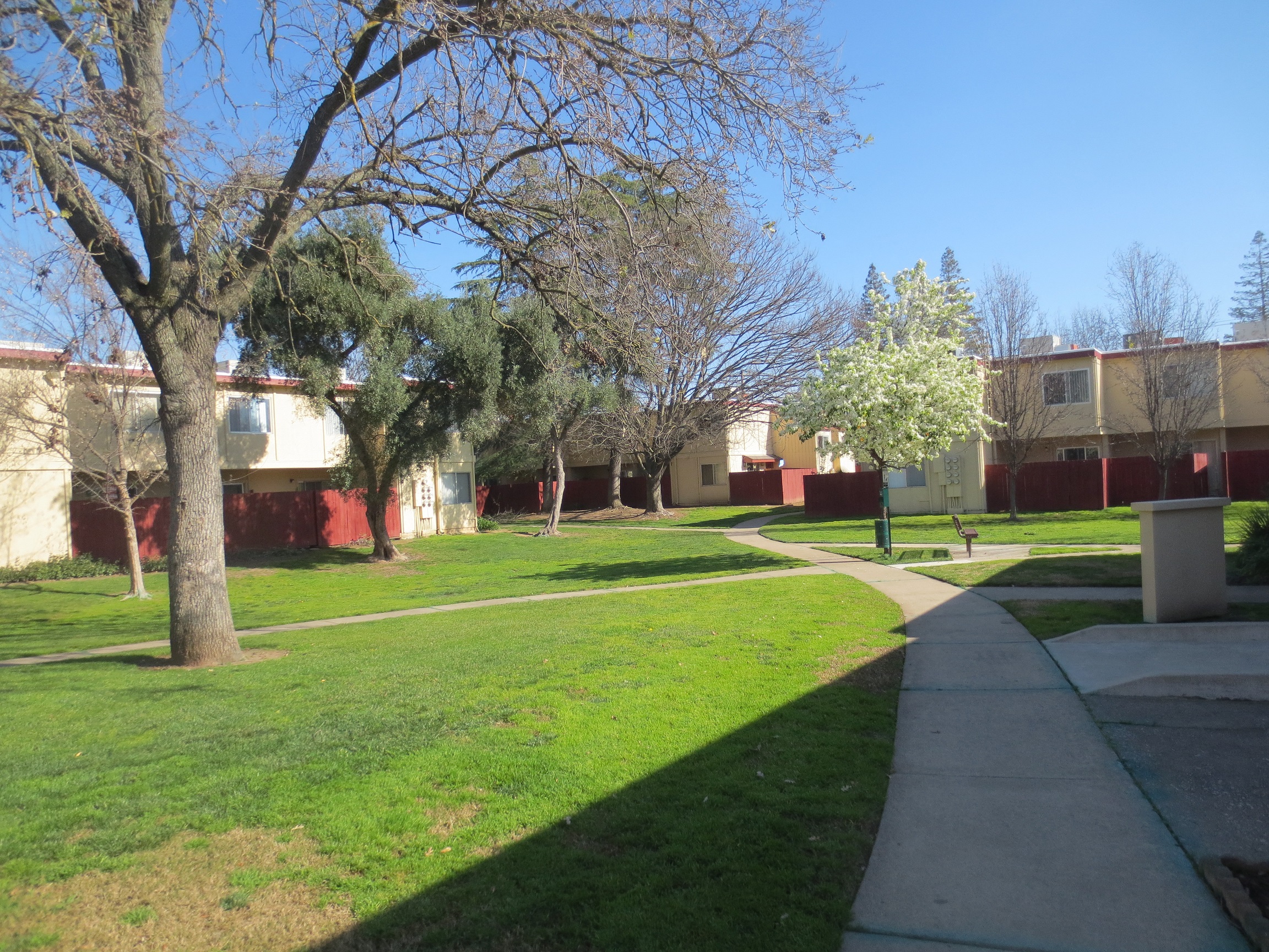 American River Gardens grounds large lawn with trees and concrete walkway leading to buildings with red fencing