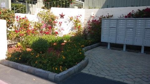A white wall with a red star and mailboxes.