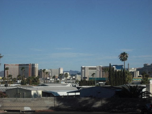 the city with palm trees and buildings