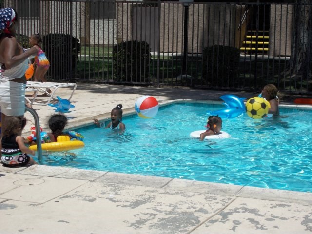 a group of children are in a swimming pool
