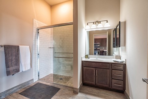A bathroom with a walk-in shower and a vanity with a mirror.