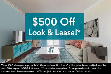 $500 Off Look & Lease