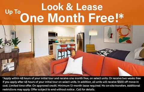 Look & Lease: Up To One Month Free!*