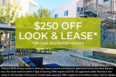 $250 Off Look & Lease