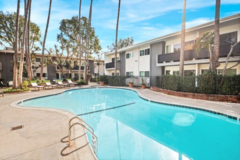 A swimming pool surrounded by palm trees and apartment buildings.