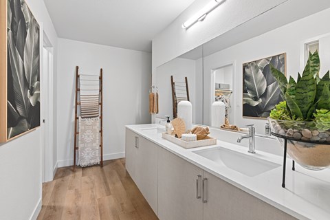 A bathroom with a white sink and a mirror.