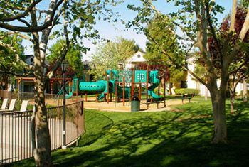 a park with a playground and some trees