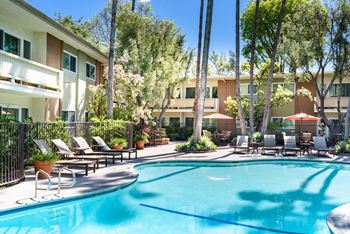 the swimming pool at the grove resort  spa at Villa Vicente, Los Angeles, California