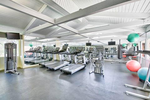 a gym with cardio equipment and weights on the floor at Mediterranean Village Costa Mesa, California, 92626