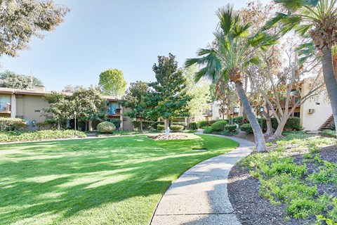 a yard with palm trees and a sidewalk at Mediterranean Village Costa Mesa, Costa Mesa