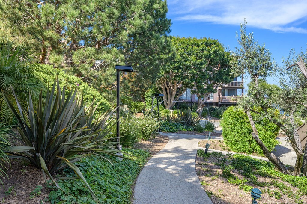 a path through a garden with trees and plants at Mariners Village, California, 90292