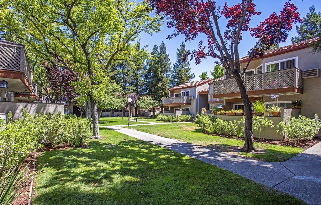 a walkway between two apartment buildings with trees and grass at Valley Plaza Villages, Pleasanton