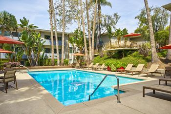 the swimming pool at the resort