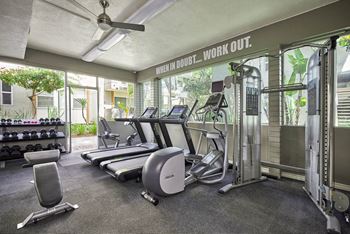 the gym is equipped with state of the art equipment including cardio machines and weights