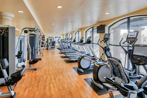 A gym with treadmills and exercise equipment.