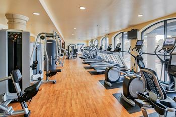 A gym with treadmills, elliptical machines, and other cardio equipment.