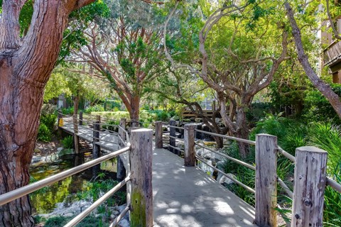 A wooden walkway with railings goes through a tree-filled area.
