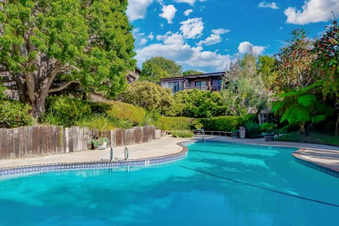 A swimming pool surrounded by a wooden fence and trees.