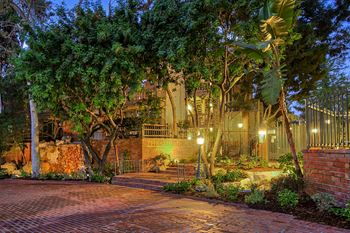 A house surrounded by trees at night.