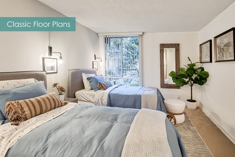 A bedroom with two beds and a plant.