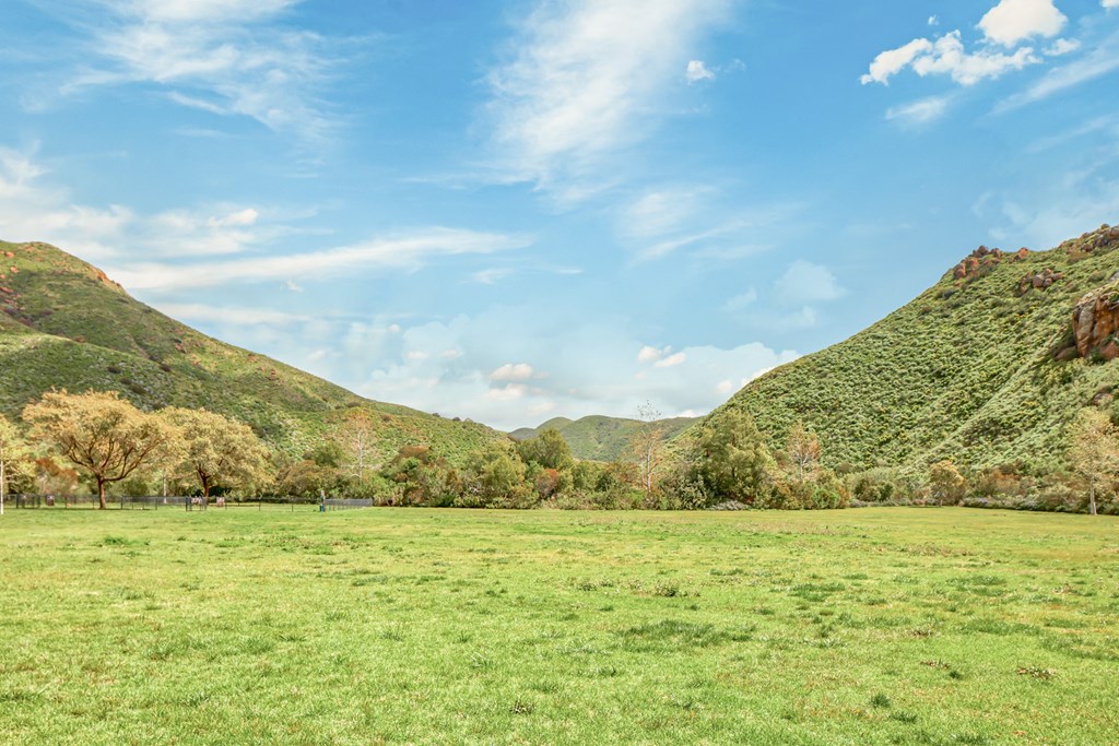 Scenery at Mission Hills