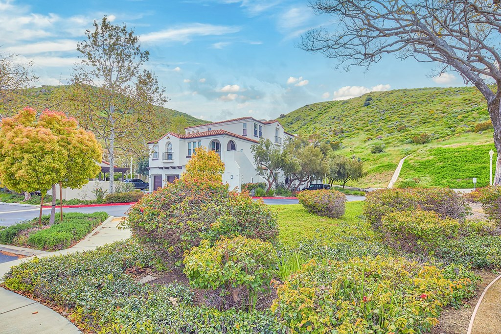 Scenery at Mission Hills