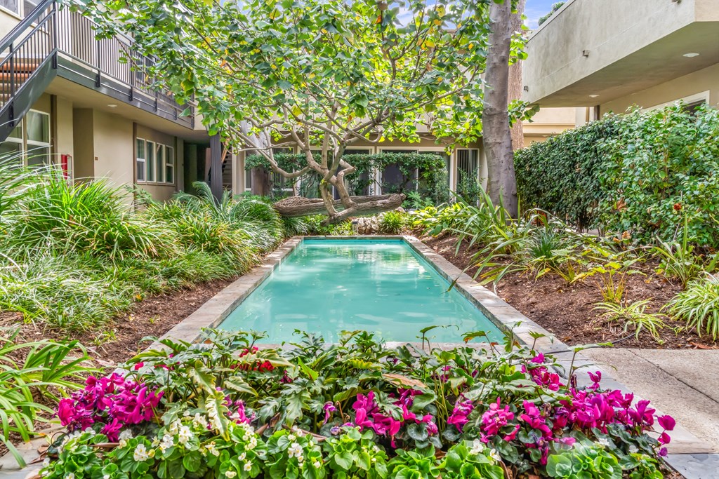 A pool surrounded by green plants and trees at West Park Village, Los Angeles, CA