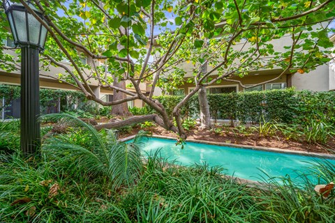 A pool surrounded by green plants and trees.
