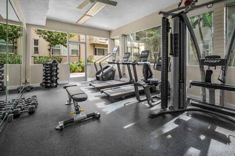 A gym with a variety of equipment including treadmills, weights, and exercise machines.