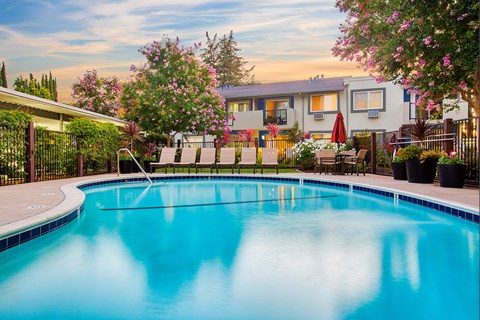 A swimming pool surrounded by a fence and trees.