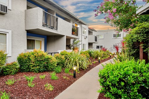 A concrete pathway leads through a landscaped area in front of apartment buildings.