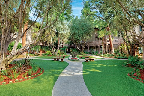 A walkway in a park with benches on either side.