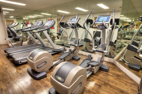 A gym with treadmills and elliptical machines.