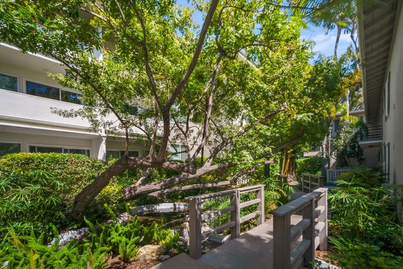 a tree in a garden next to a building
