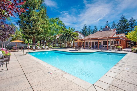 A large swimming pool surrounded by trees and a house in the background.