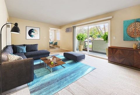 A living room with a blue rug and a grey couch.