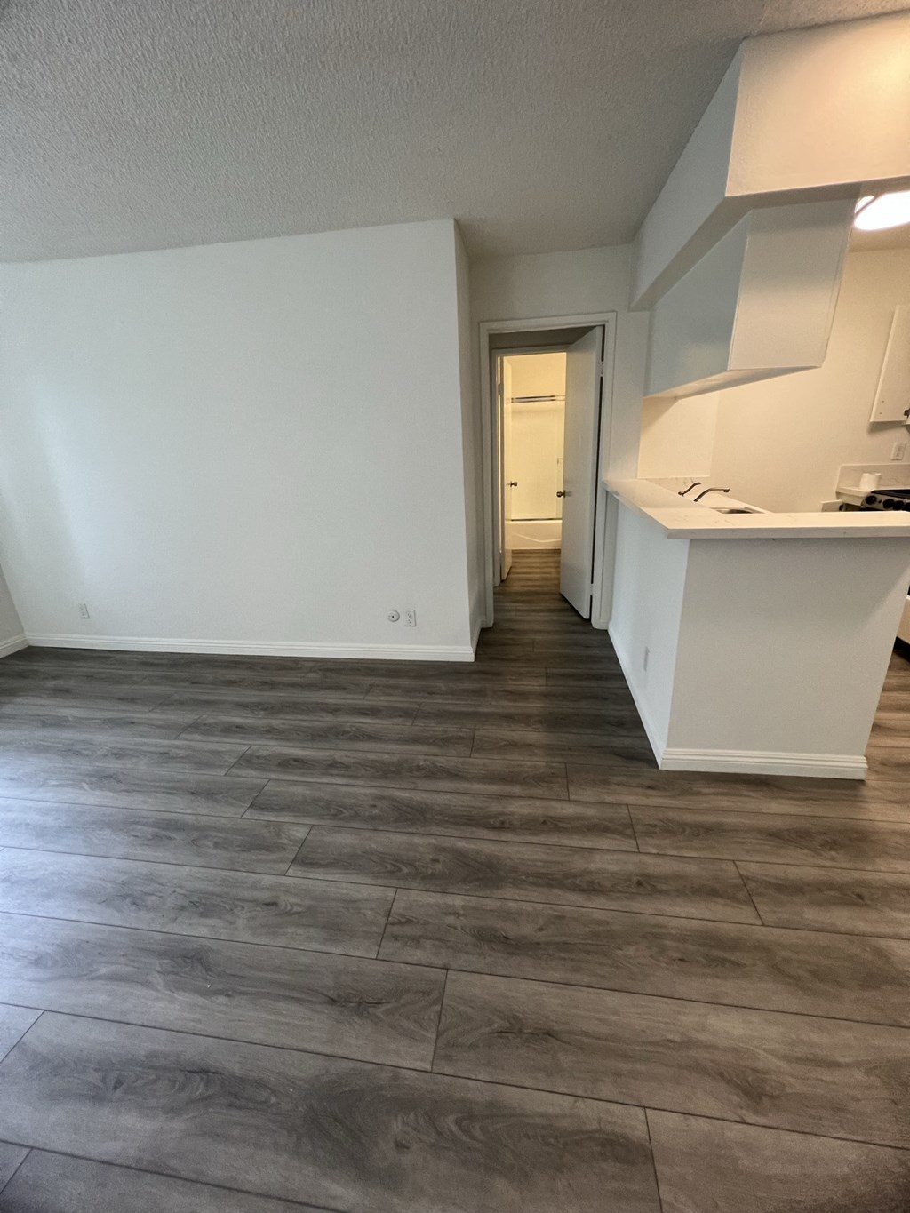 Living Room with Hardwood Floors