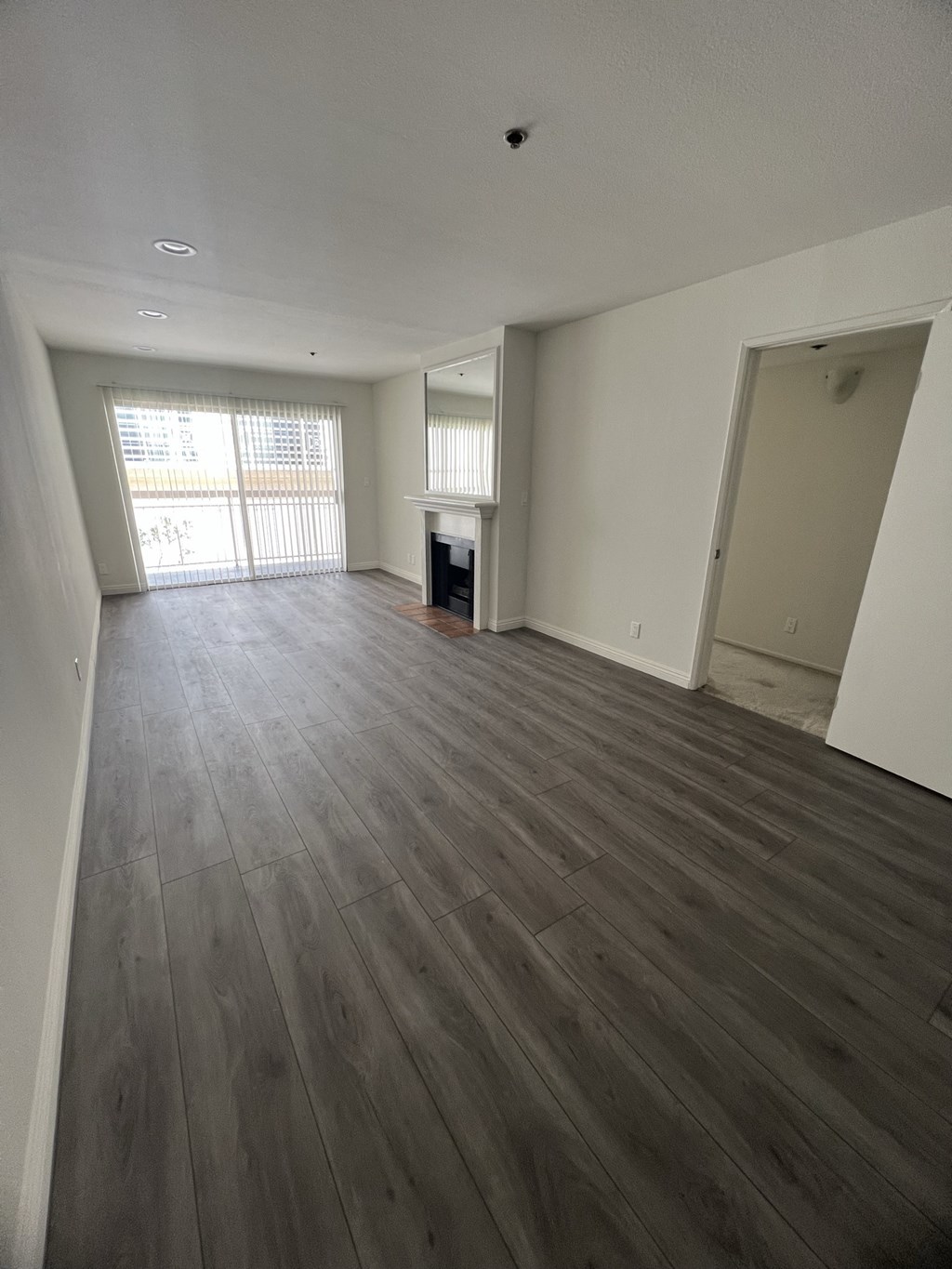 Living Room with Hardwood Floors, Fireplace and Patio Door