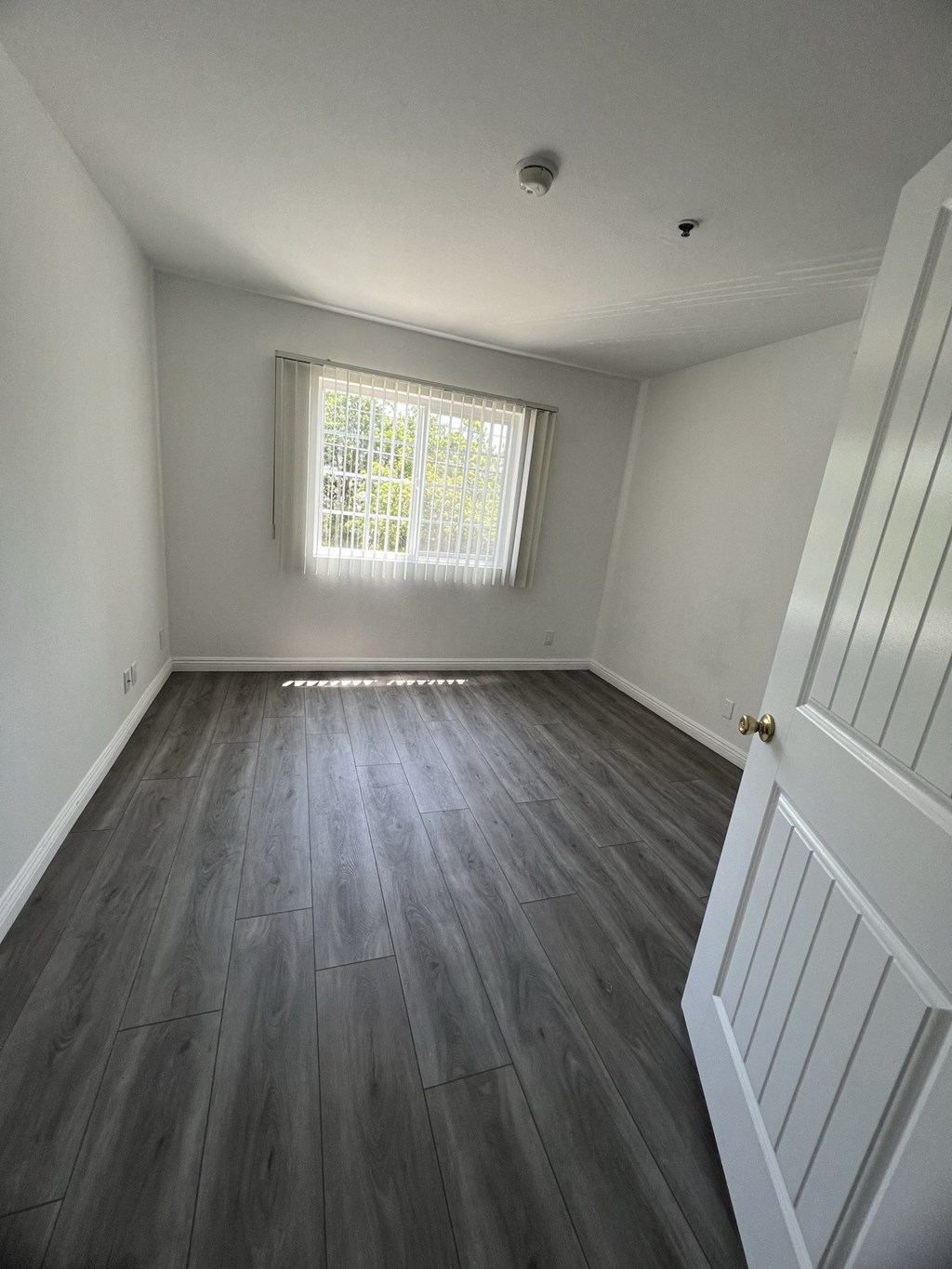Bedroom with Hardwood Floors