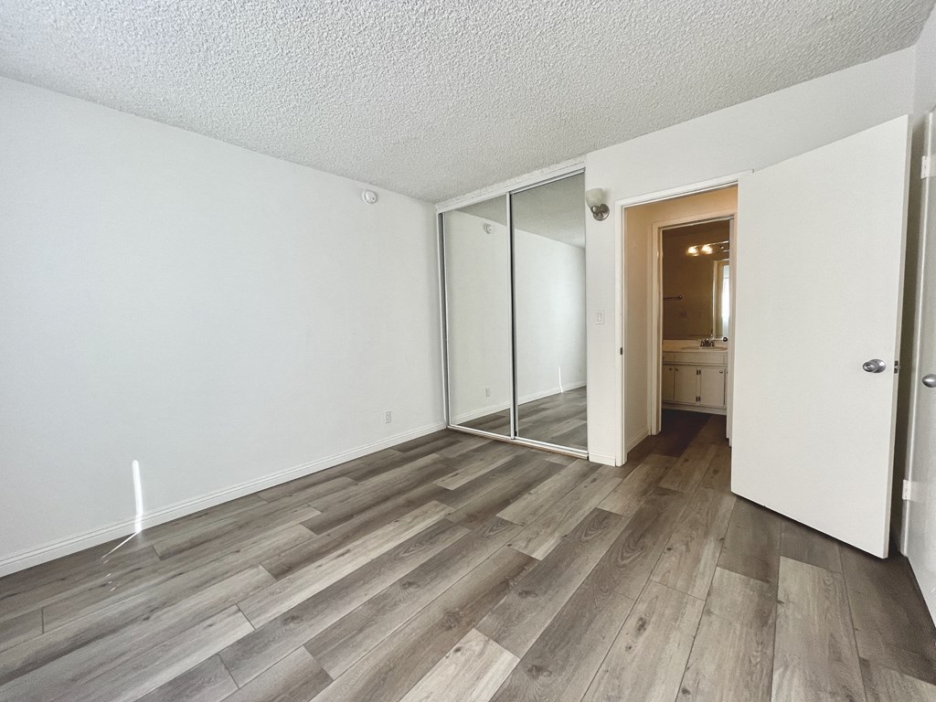 Bedroom with Hardwood Floors and Mirrored Wardrobe Closet