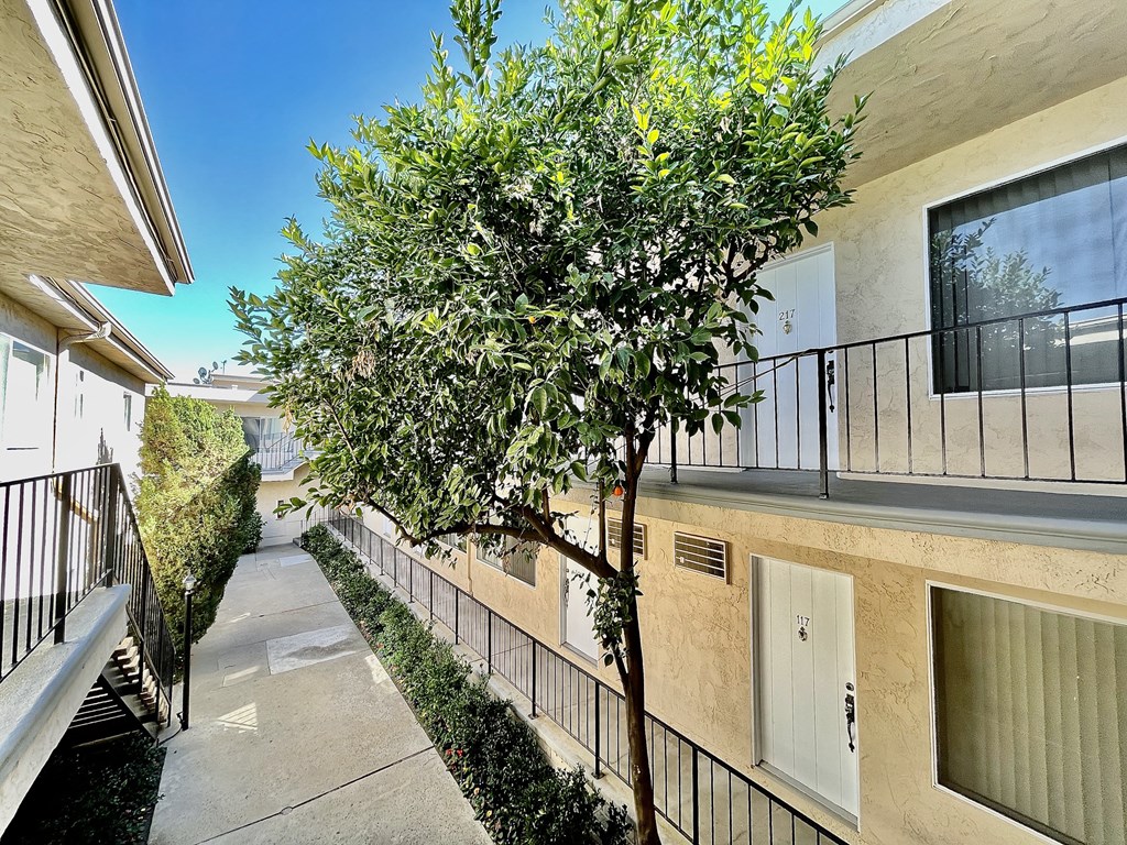 Apartment Building in Encino