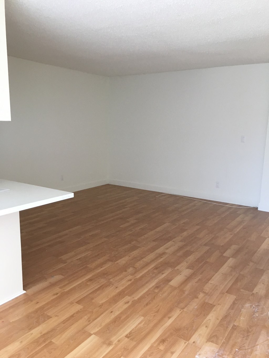 Living Room with Hardwood Floors