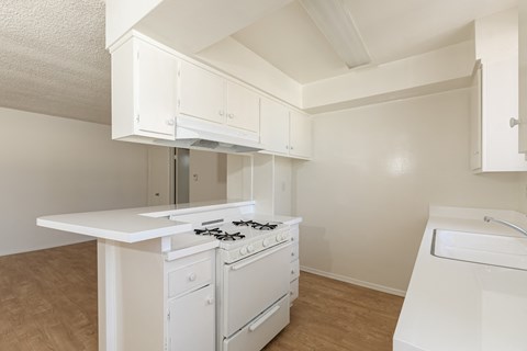 the preserve at ballantyne commons apartment kitchen with stove and white cabinets