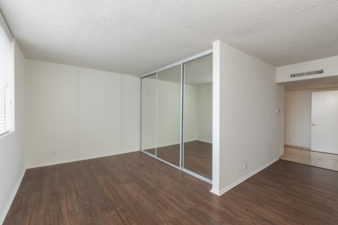 Bedroom with Hardwood Floors and Mirrored Wardrobe Closet