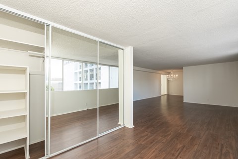 Bedroom with Hardwood Floors and Mirrored Wardrobe Closet