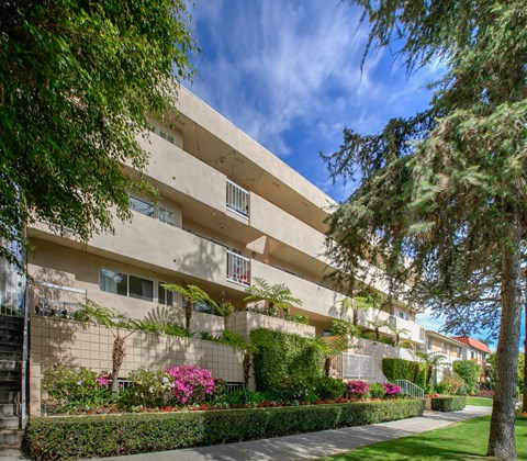 the building where the apartment is located