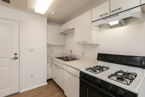 the preserve at ballantyne commons apartment kitchen with stove and sink
