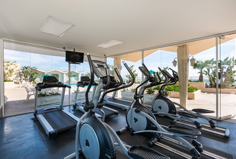 A gym with treadmills and exercise bikes.