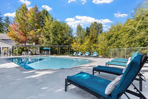 A pool surrounded by trees and chairs.
